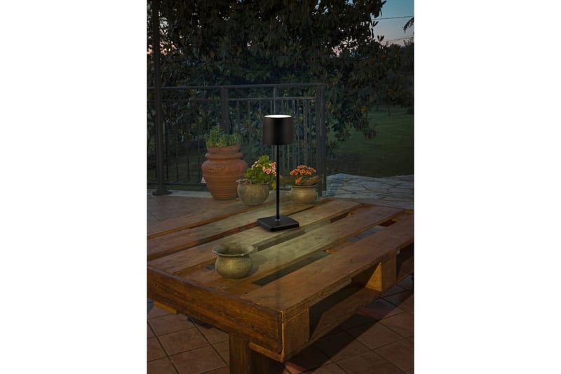 Bordlampe TRIO Fernandez Matsort - Matsort - Belysning - Lamper & indendørsbelysning - Sengelampe - Sengelampe bord