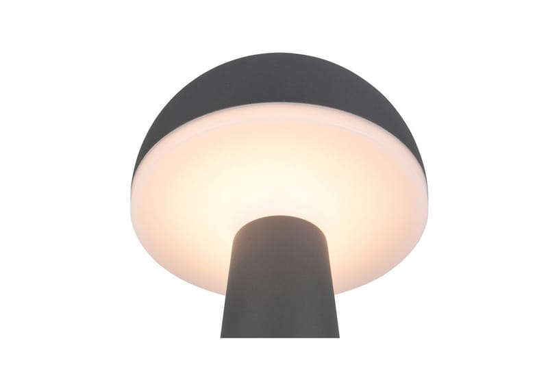 Bordlampe TRIO Fungo Antracit - Antracit - Belysning - Lamper & indendørsbelysning - Sengelampe - Sengelampe bord