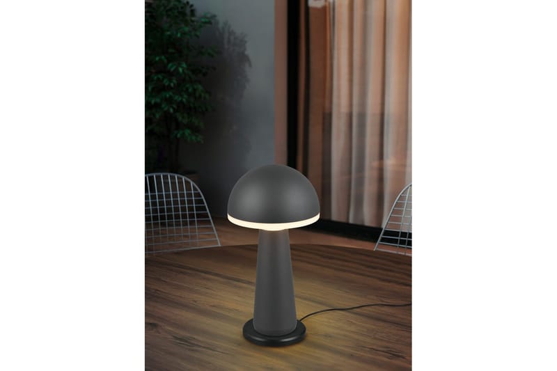 Bordlampe TRIO Fungo Antracit - Antracit - Belysning - Lamper & indendørsbelysning - Sengelampe - Sengelampe bord
