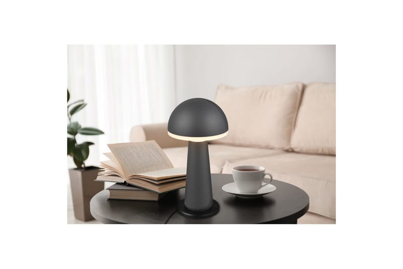 Bordlampe TRIO Fungo Antracit - Antracit - Belysning - Lamper & indendørsbelysning - Sengelampe - Sengelampe bord