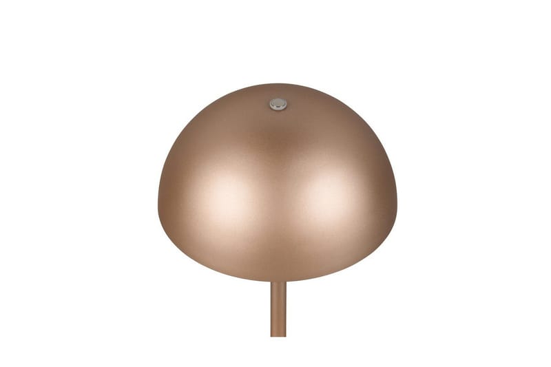 Bordlampe TRIO Munoz Kaffebrun - Kaffebrun - Belysning - Lamper & indendørsbelysning - Sengelampe - Sengelampe bord