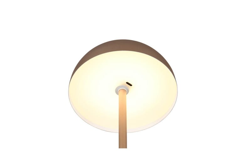 Bordlampe TRIO Munoz Kaffebrun - Kaffebrun - Belysning - Lamper & indendørsbelysning - Sengelampe - Sengelampe bord