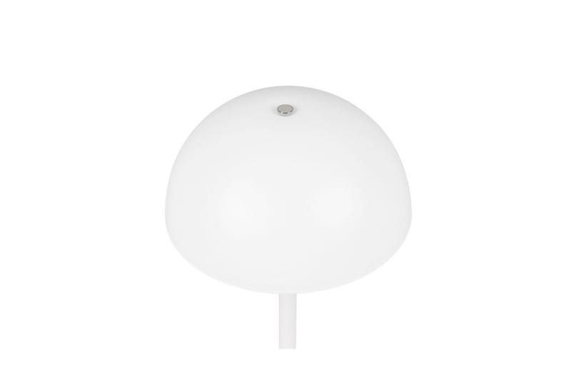 Bordlampe TRIO Munoz Mat hvid - Mat hvid - Belysning - Lamper & indendørsbelysning - Sengelampe - Sengelampe bord