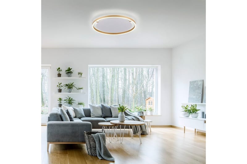 Loftlampe Ritus - 58,5x5,3x58,5 cm, Messing Mat - Belysning - Lamper & indendørsbelysning - Soveværelse lampe - Taklampa sovrum