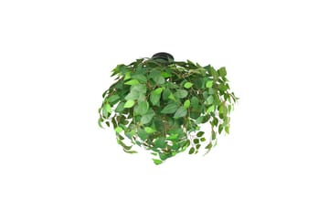 Loftlampe TRIO Leavy 70 cm - 70 cm - Belysning - Lamper & indendørsbelysning - Soveværelse lampe - Taklampa sovrum