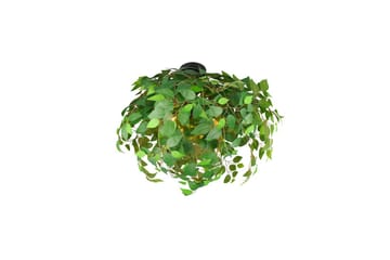 Loftlampe TRIO Leavy 70 cm - 70 cm - Belysning - Lamper & indendørsbelysning - Soveværelse lampe - Taklampa sovrum