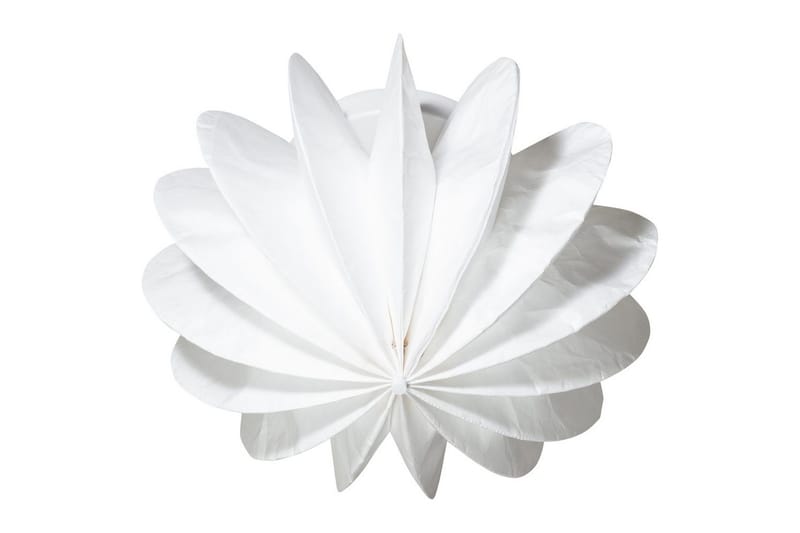 Lofts-/Væglampe Dalia - Belysning - Lamper & indendørsbelysning - Soveværelse lampe - Taklampa sovrum