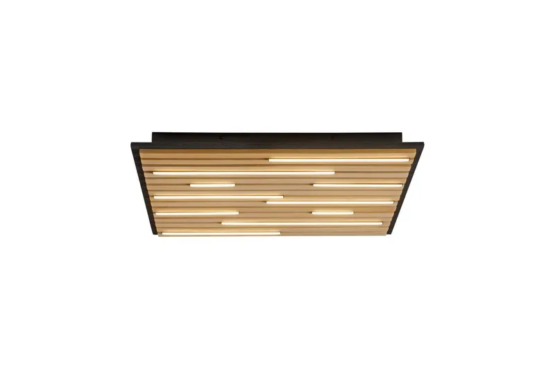 Q-Akustik Paul Neuhaus Væg-/Loftlampe, undefined