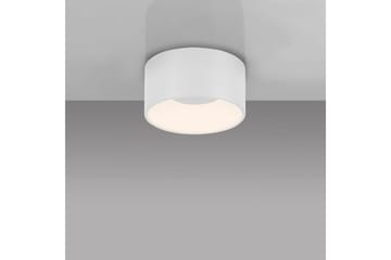 Tanika Just Light Loftslampe - Belysning - Lamper & indendørsbelysning - Soveværelse lampe - Taklampa sovrum