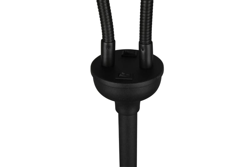 Trio Lighting Tommy gulvlampe 2L E14 matsort/guld, undefined