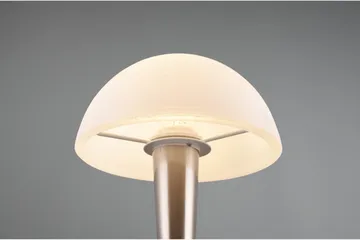 Trio Lighting Canaria Bordlampe E14 (inkl.) Børstet Stål - Belysning - Lamper & indendørsbelysning - Vindueslampe - Vindueslampe på fod