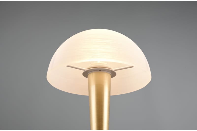 Trio Lighting Canaria Bordlampe E14 (inkl.) Mat Messing - Belysning - Lamper & indendørsbelysning - Vindueslampe - Vindueslampe på fod