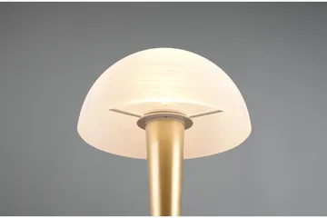 Trio Lighting Canaria Bordlampe E14 (inkl.) Mat Messing - Belysning - Lamper & indendørsbelysning - Vindueslampe - Vindueslampe på fod