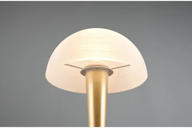 Trio Lighting Canaria Bordlampe E14 (inkl.) Mat Messing - Belysning - Lamper & indendørsbelysning - Vindueslampe - Vindueslampe på fod