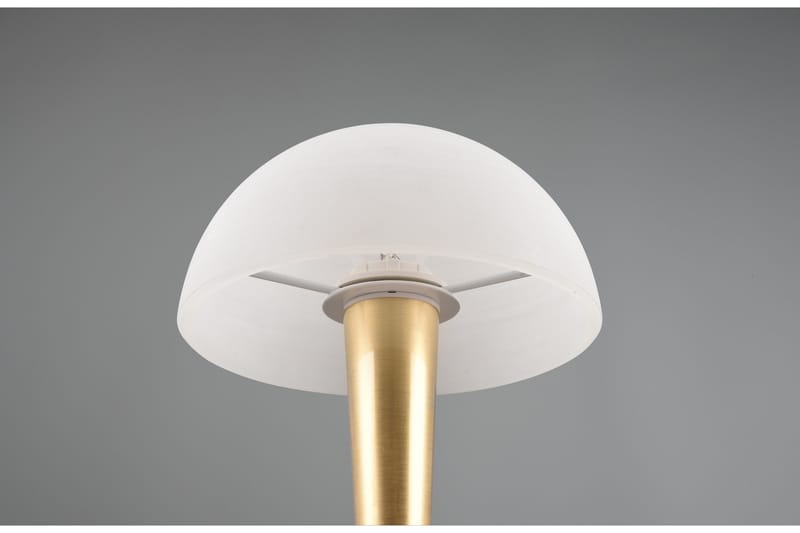 Trio Lighting Canaria Bordlampe E14 (inkl.) Mat Messing - Belysning - Lamper & indendørsbelysning - Vindueslampe - Vindueslampe på fod