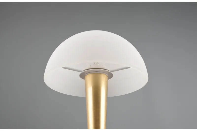 Trio Lighting Canaria Bordlampe E14 (inkl.) Mat Messing - Belysning - Lamper & indendørsbelysning - Vindueslampe - Vindueslampe på fod