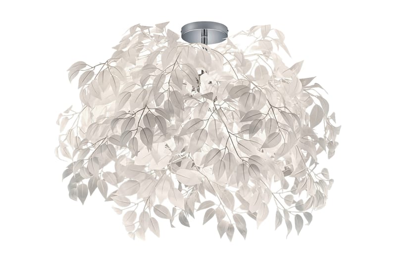 Janecia Loftslampe, undefined