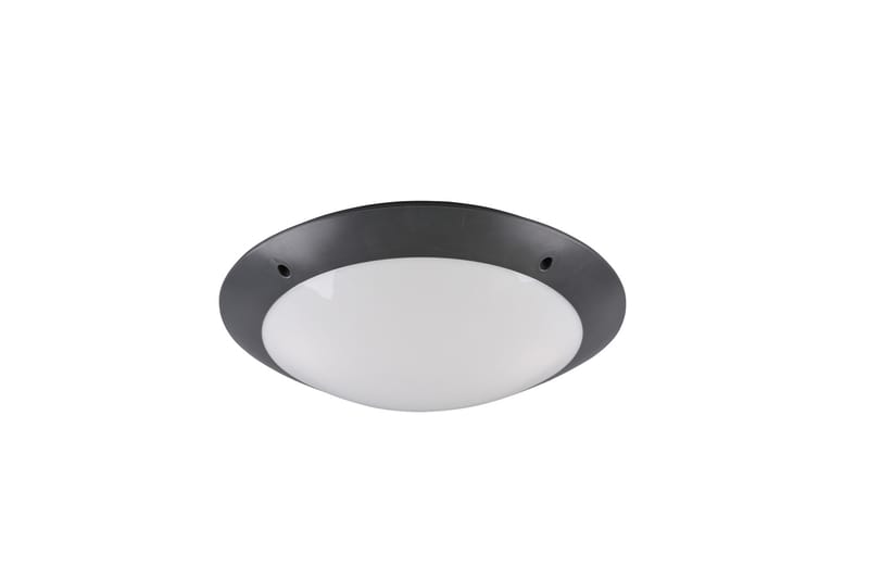 Trio Camaro Loftlampe - Belysning - Lamper & indendørsbelysning - Vindueslampe - Vindueslampe hængende