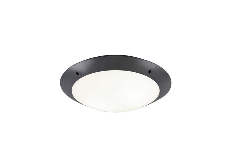 Trio Camaro Loftlampe - Belysning - Lamper & indendørsbelysning - Vindueslampe - Vindueslampe hængende