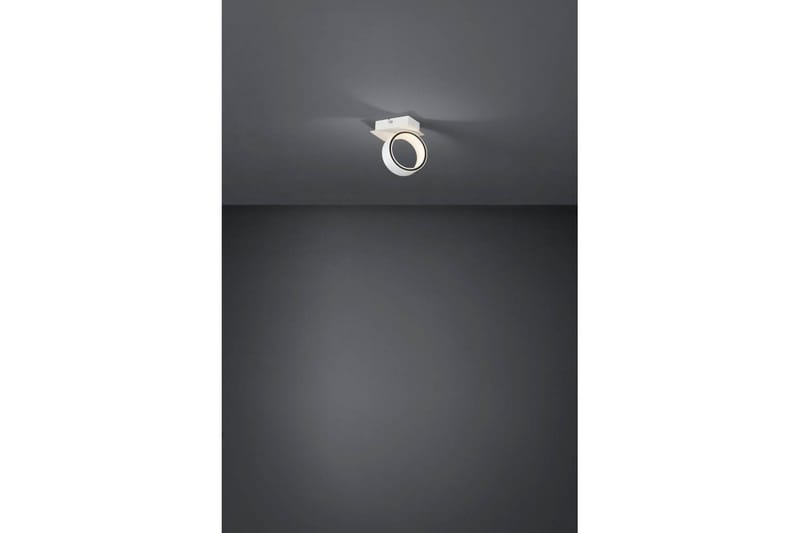 LED-spotlys Eglo Albariza Hvid 1 Lampe - 1 Lampe - Belysning - Glødepærer & lyskilder - Spotlights & downlights