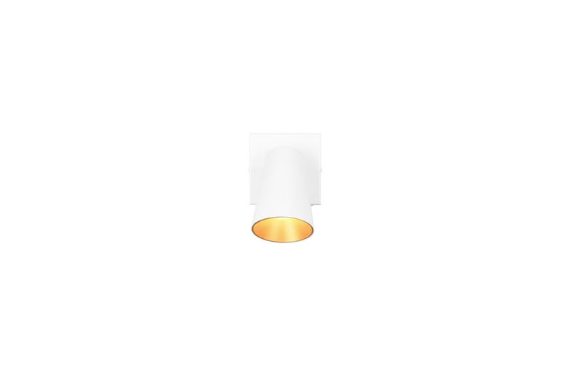 Spot TRIO Sharp 1-dele, Mat hvid/guld - 1-dele, Mat hvid/guld - Belysning - Glødepærer & lyskilder - Spotlights & downlights