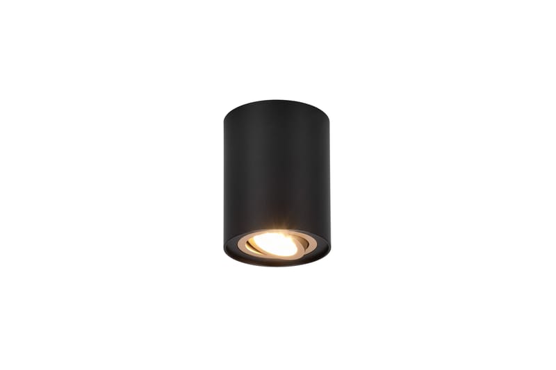 Trio Lighting Cookie Utendørs Spot 1L GU10 Sort/Gull - Belysning - Glødepærer & lyskilder - Spotlights & downlights