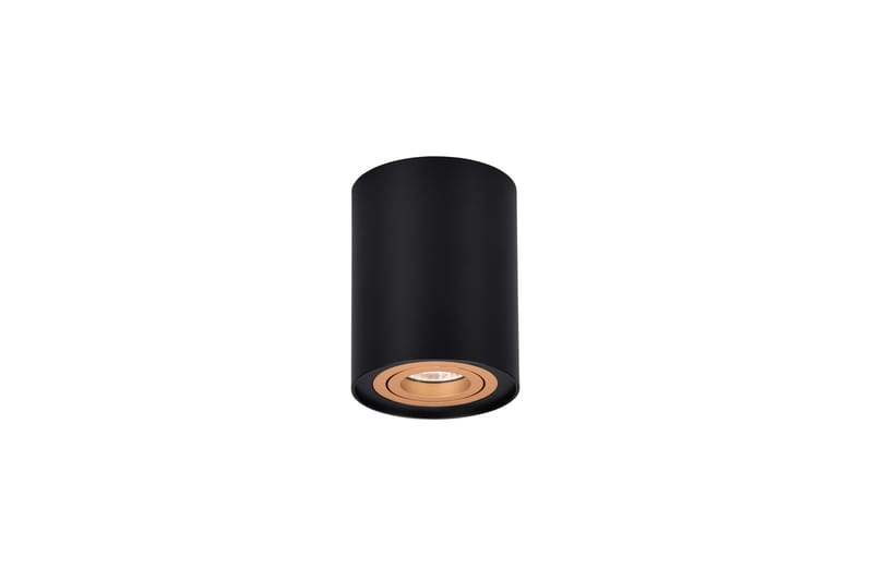 Trio Lighting Cookie Utendørs Spot 1L GU10 Sort/Gull - Belysning - Glødepærer & lyskilder - Spotlights & downlights