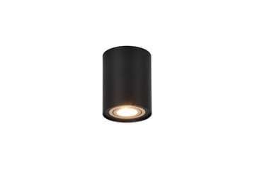 Trio Lighting Cookie Utendørs Spot 1L GU10 Sort/Gull - Belysning - Glødepærer & lyskilder - Spotlights & downlights
