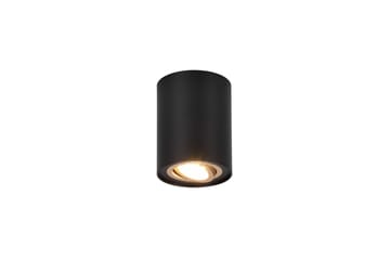 Trio Lighting Cookie Utendørs Spot 1L GU10 Sort/Gull - Belysning - Glødepærer & lyskilder - Spotlights & downlights