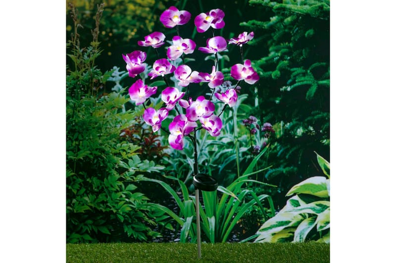 HI LED-solcellelampe 75 cm orkidé - Violet - Solcellelamper - Udendørs lamper & belysning