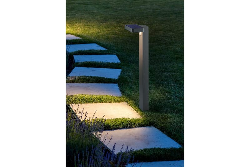 Pullert Esquel - Belysning - Udendørs lamper & belysning