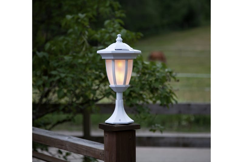 Star Trading Flame Solcellebelysning 63 cm - Solcellelamper - Udendørs lamper & belysning
