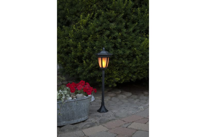 Star Trading Flame Solcellebelysning 63 cm - Belysning - Udendørs lamper & belysning - Solcellelamper