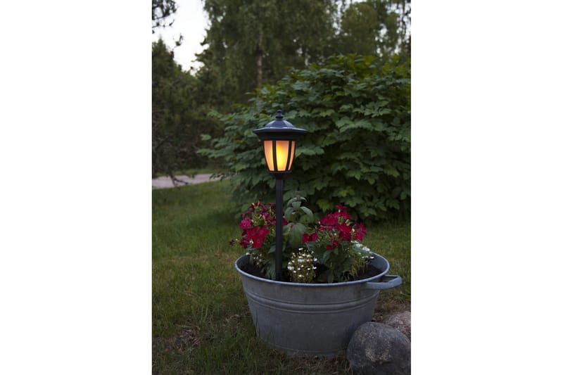 Star Trading Flame Solcellebelysning 63 cm - Belysning - Udendørs lamper & belysning - Solcellelamper