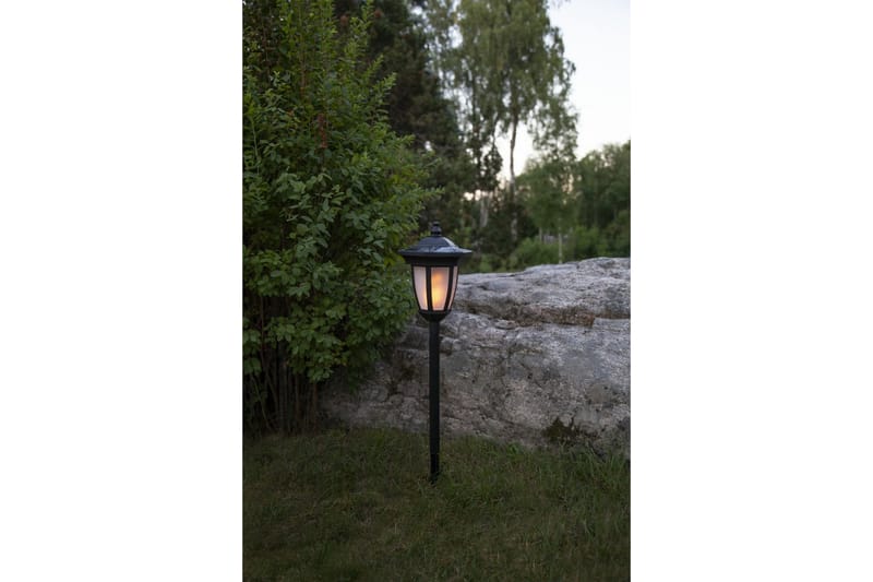 Star Trading Flame Solcellebelysning 63 cm - Belysning - Udendørs lamper & belysning - Solcellelamper