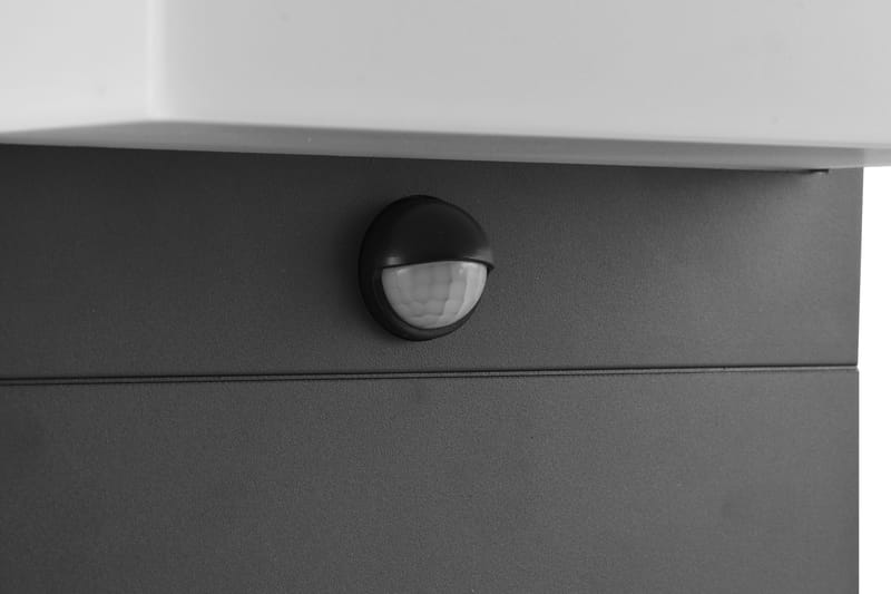 Trio Lighting Nestos LED Stolpe 45 cm antracit med bevægelsessensor - Belysning - Udendørs lamper & belysning