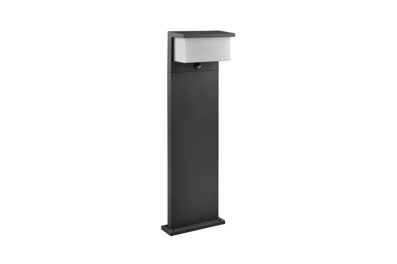 Trio Lighting Nestos LED Stolpe 80 cm antracit med bevægelsessensor - Belysning - Udendørs lamper & belysning