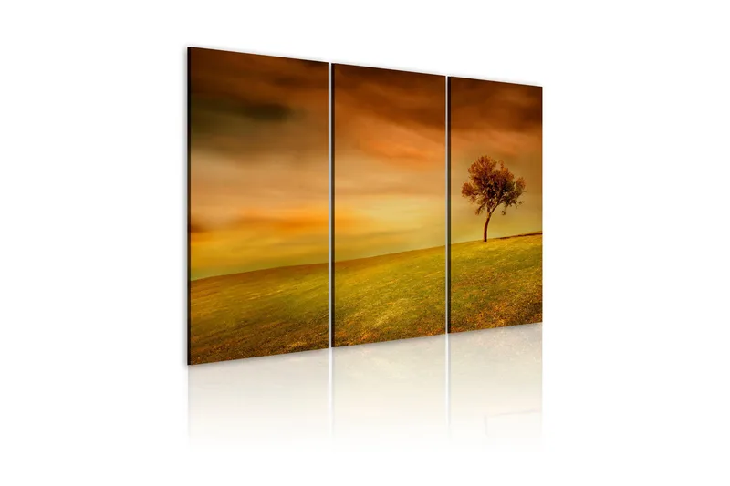 Billede A Lonely Tree On A Meadow 120x80, Artgeist sp. z o. o.