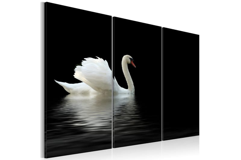 Billede A Lonely White Swan 60x40, Artgeist sp. z o. o.
