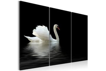 Billede A lonely white swan 90x60