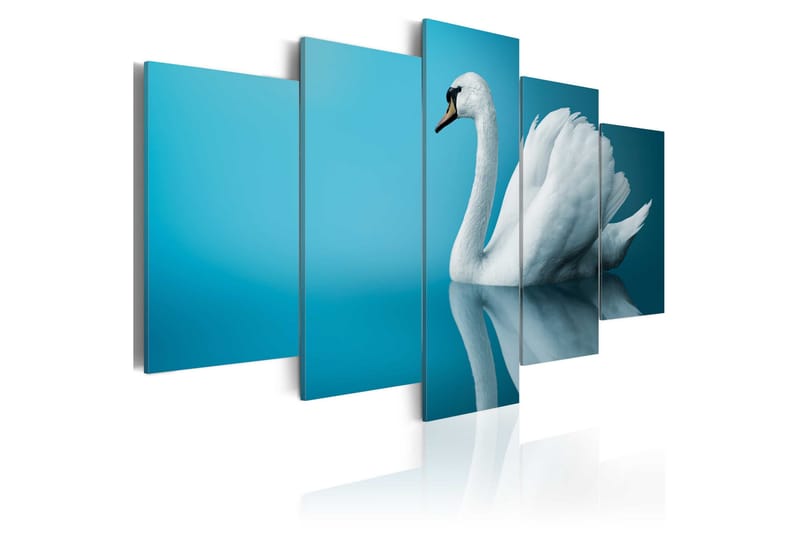 Billede A Swan In Blue 100x50, Artgeist sp. z o. o.
