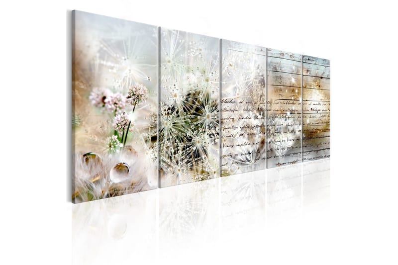 Billede Abstract Dandelions 225x90, Artgeist sp. z o. o.
