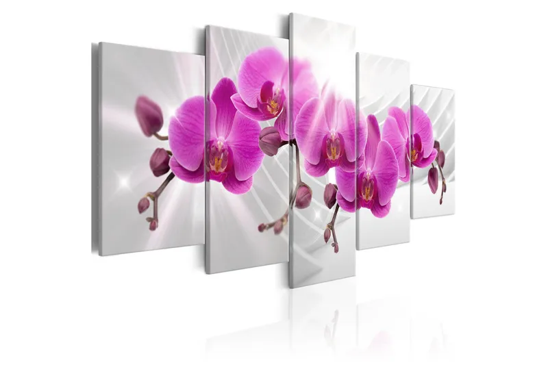 Billede Abstract Garden Pink Orchids 200x100 - Artgeist sp. z o. o. - Boligtilbehør - Billeder & kunst - Billeder på lærred