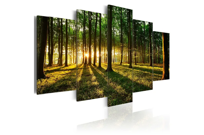 Billede Adventure In The Woods 100x50, Artgeist sp. z o. o.