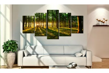 Billede Adventure In The Woods 100x50 - Artgeist sp. z o. o. - Boligtilbehør - Billeder & kunst - Billeder på lærred