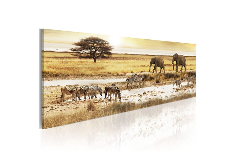 Billede Africa At The Waterhole 135x45, Artgeist sp. z o. o.