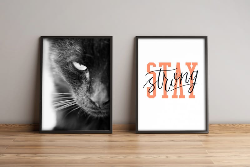 Billede Animal with Frame 2 stk Flerfarvet, 33x65 cm