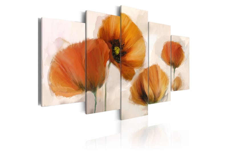 Billede Artistic Poppies 5 Pieces 200x100, Artgeist sp. z o. o.