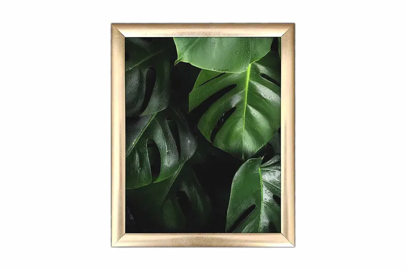 Billede Blomster med ramme flerfarvet, 22,3x52,8 cm