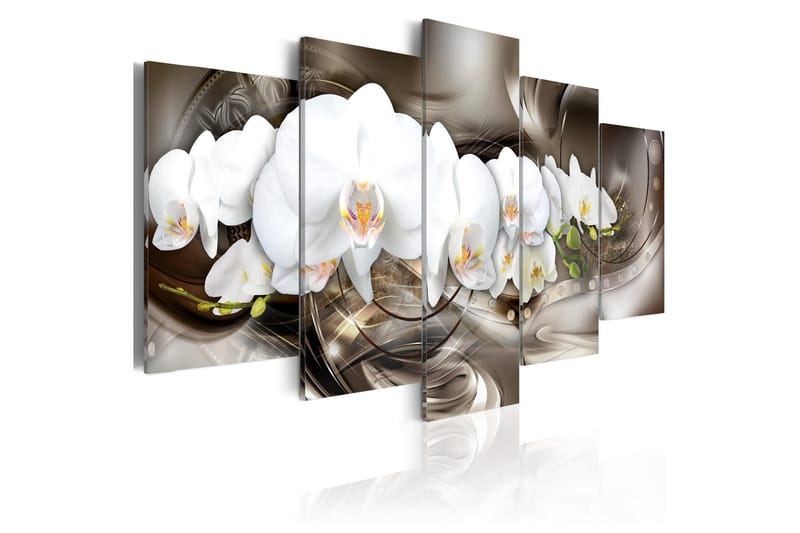 Billede Brown Mirage 100x50 - Artgeist sp. z o. o. - Boligtilbehør - Billeder & kunst - Billeder på lærred